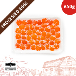 SEY%23PKT%231.jpg
